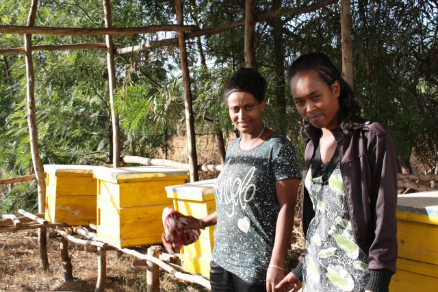 Die Imkerinnen aus Sebata an ihren Bienen